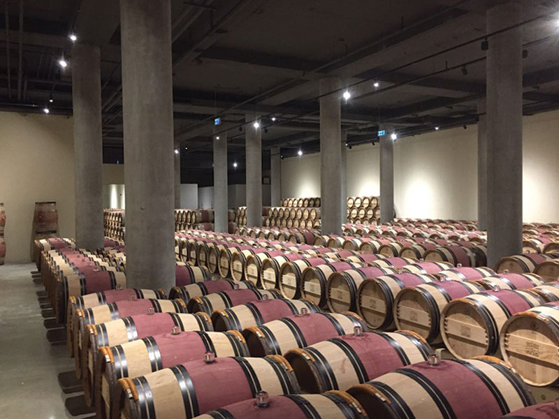 Wine barrels in humidified storage 2
